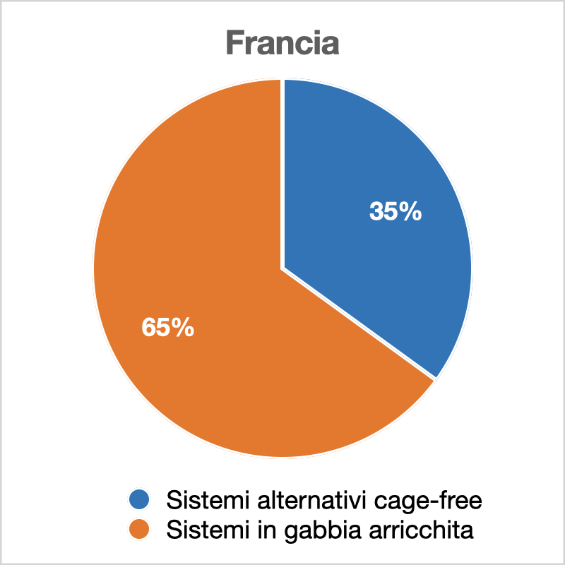 Benessere animale Francia cage free